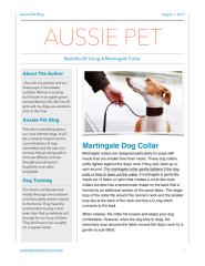 Are Whippet dog collars functional (Article).pdf